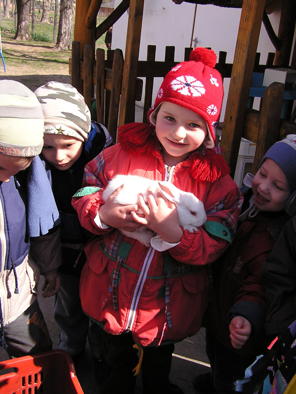 Óvodai hírek - 2008 március Óvodai hírek - 2008 március