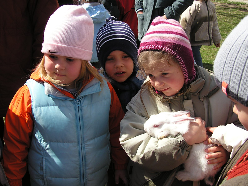 Óvodai hírek - 2008 március Óvodai hírek - 2008 március