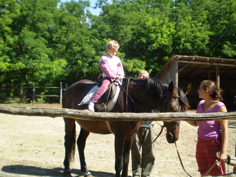 Óvodai hírek - 2008 október Óvodai hírek - 2008 október