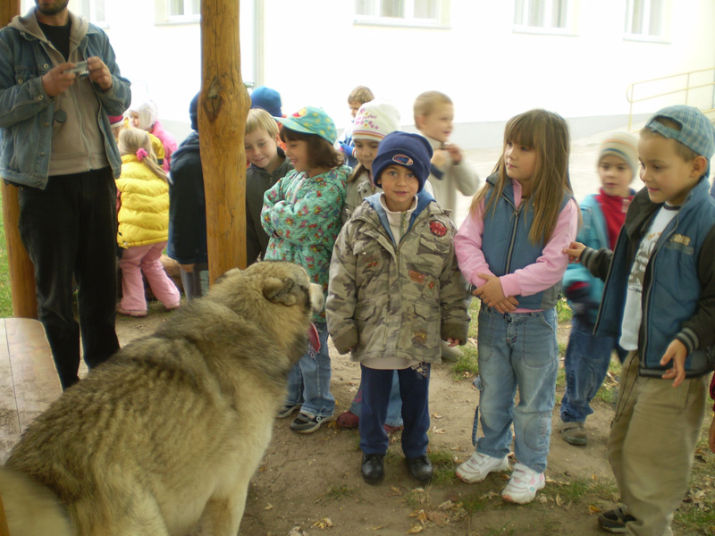 Óvodai hírek - 2008 október Óvodai hírek - 2008 október