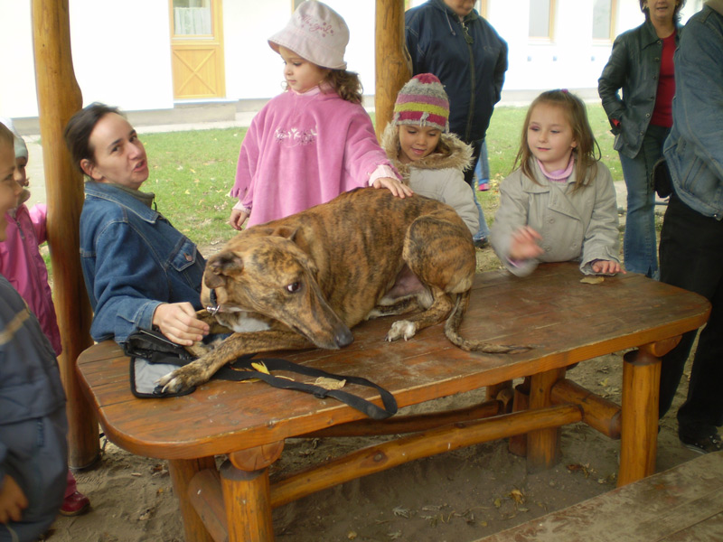 Óvodai hírek - 2008 október Óvodai hírek - 2008 október