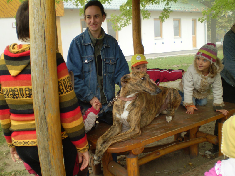 Óvodai hírek - 2008 október Óvodai hírek - 2008 október