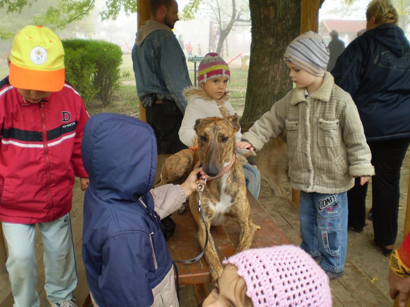 Óvodai hírek - 2008 október Óvodai hírek - 2008 október