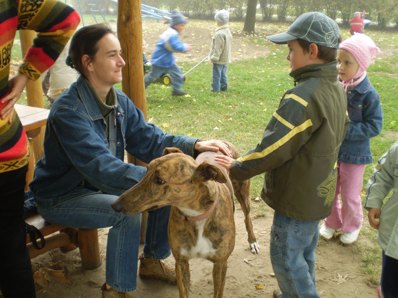 Óvodai hírek - 2008 október Óvodai hírek - 2008 október