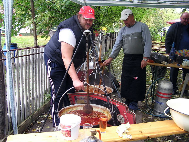 Őszköszöntő szüreti nap 2008. október 4.