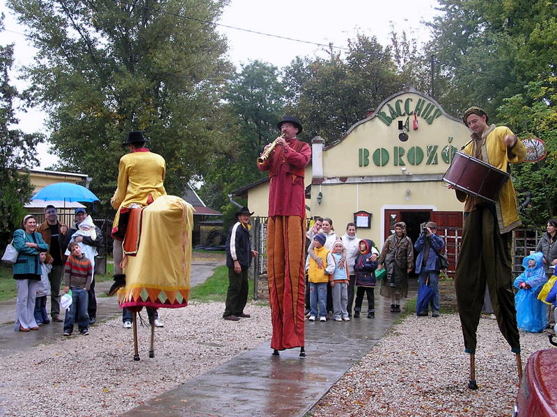 Őszköszöntő szüreti nap 2008. október 4.