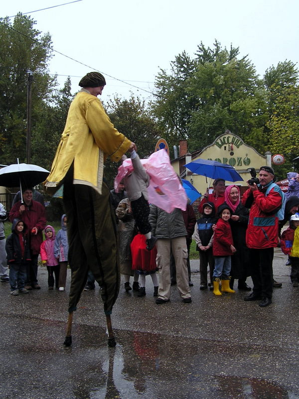 Őszköszöntő szüreti nap 2008. október 4.