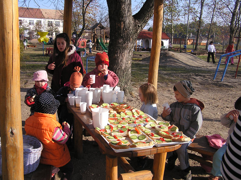 Óvodai hírek - 2008 november