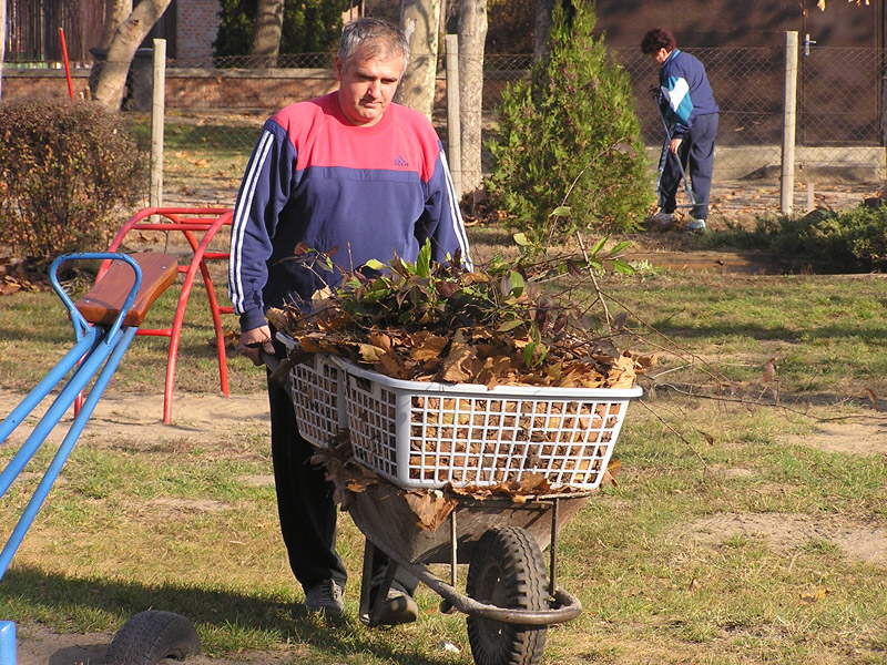 Óvodai hírek - 2008 november