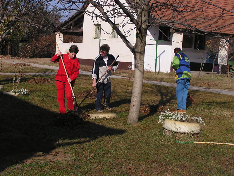 Óvodai hírek - 2008 november