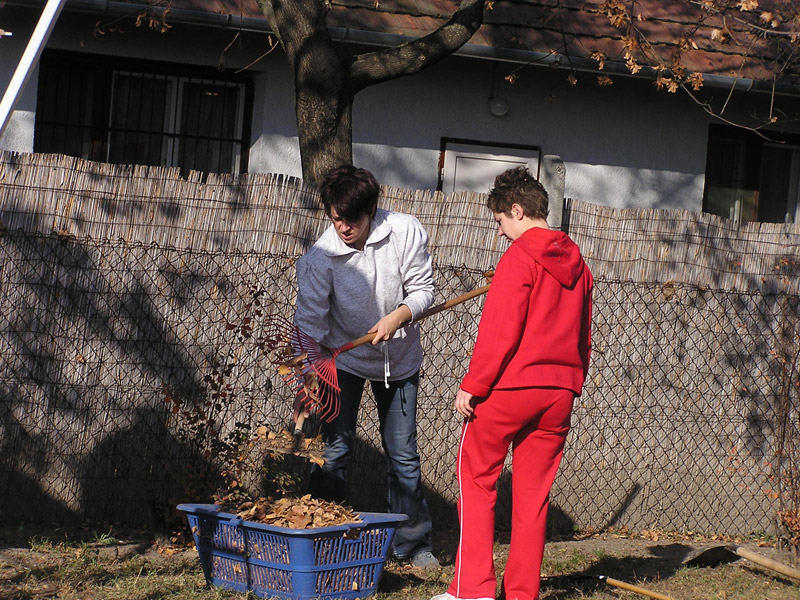 Óvodai hírek - 2008 november