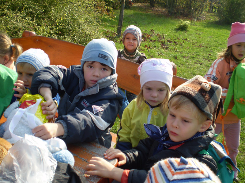 Óvodai hírek - 2008 november