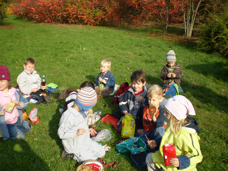 Óvodai hírek - 2008 november