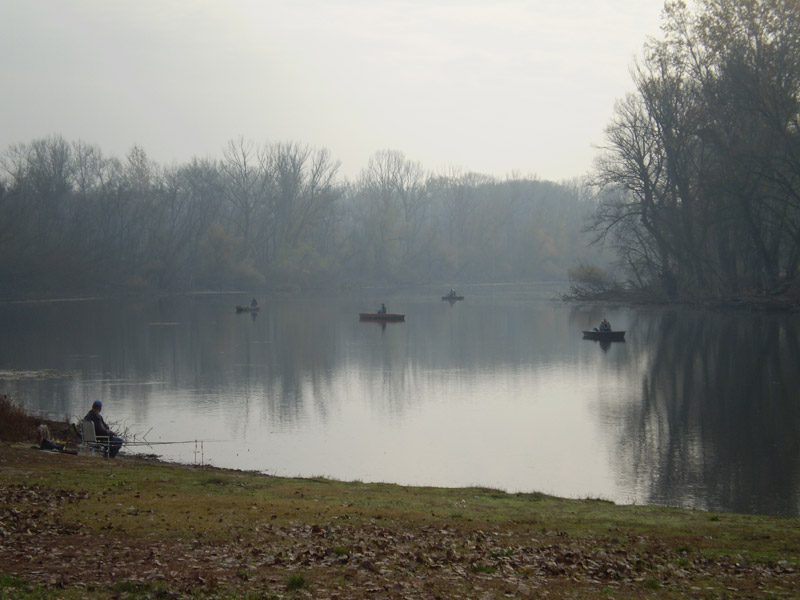 Óvodai hírek - 2008 november