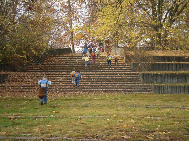 Óvodai hírek - 2008 november
