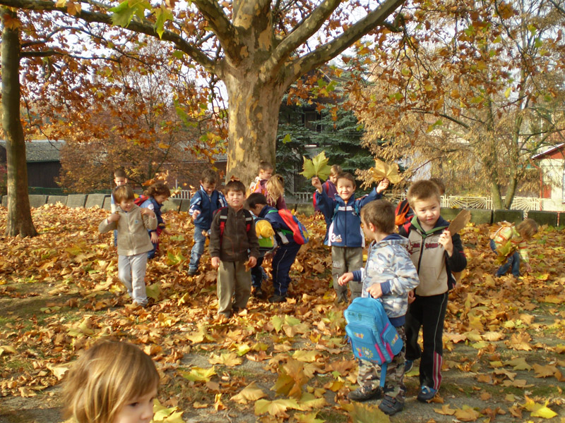 Óvodai hírek - 2008 november