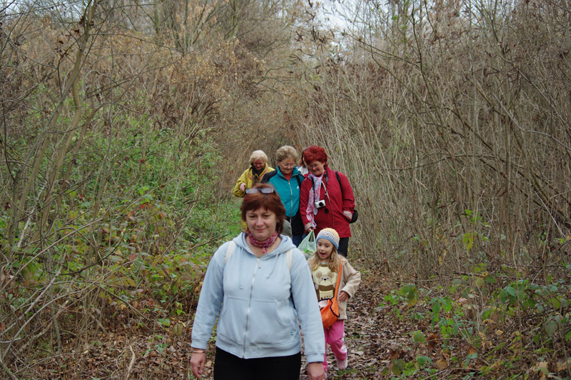 Óvodai hírek - 2008 november