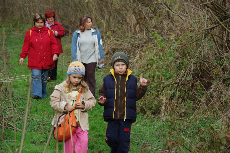 Óvodai hírek - 2008 november