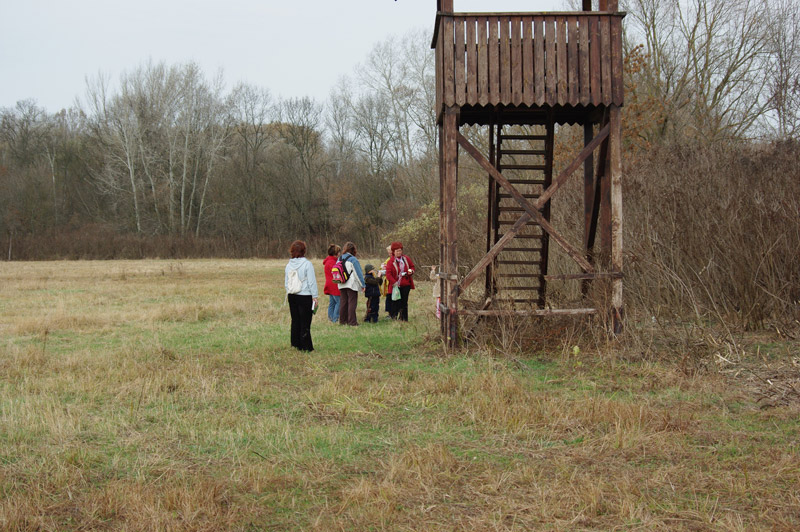 Óvodai hírek - 2008 november