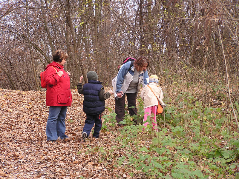Óvodai hírek - 2008 november