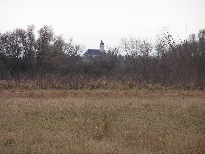 Óvodai hírek - 2008 november