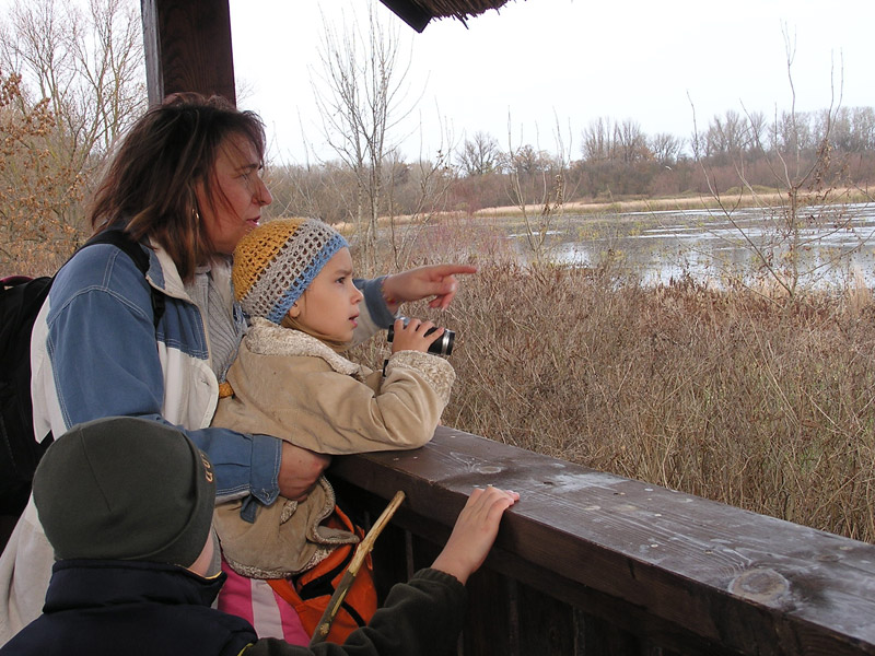 Óvodai hírek - 2008 november