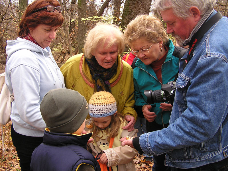 Óvodai hírek - 2008 november