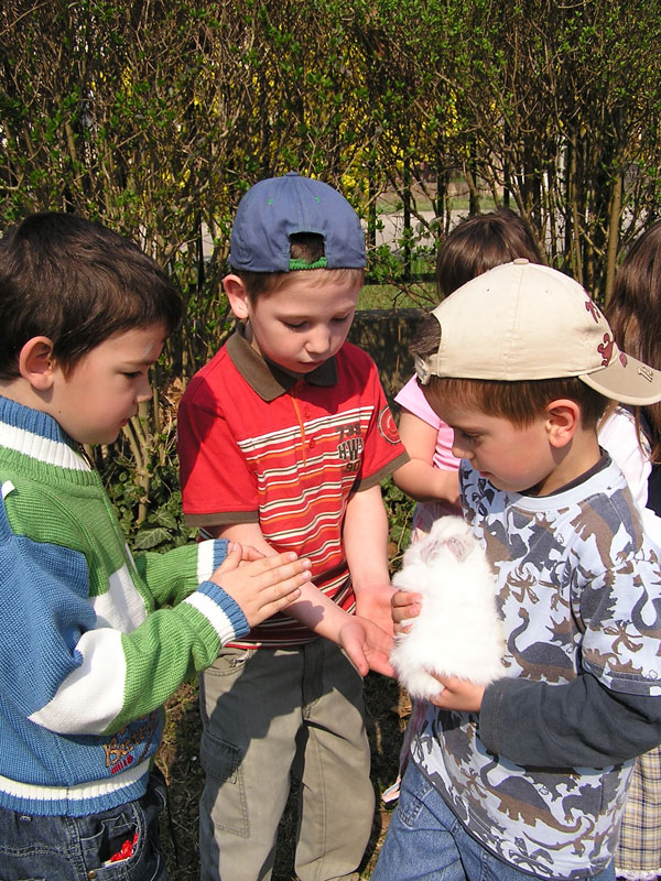 Óvodai hírek - 2009 április Óvodai hírek - 2009 április