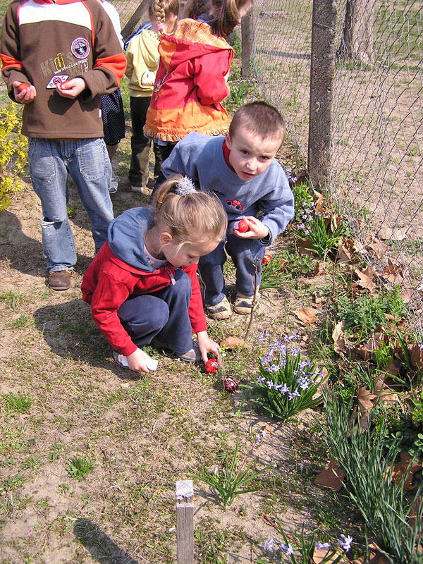 Óvodai hírek - 2009 április Óvodai hírek - 2009 áprilisrcius