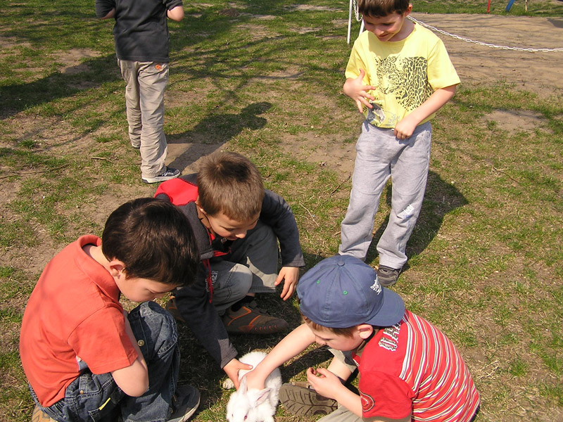 Óvodai hírek - 2009 április Óvodai hírek - 2009 április