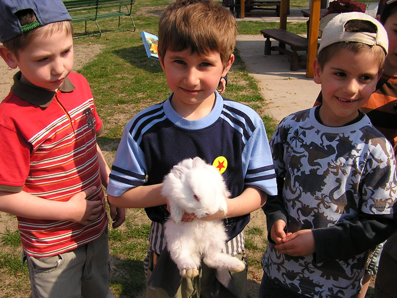 Óvodai hírek - 2009 április Óvodai hírek - 2009 április