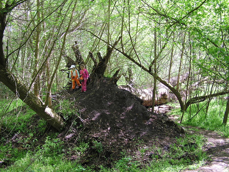 Óvodai hírek - 2009 április Óvodai hírek - 2009 április
