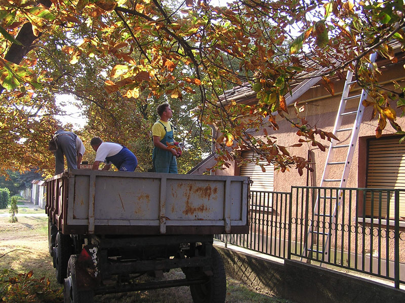 Óvodai hírek - 2009 szeptember Óvodai hírek - 2009 szeptember