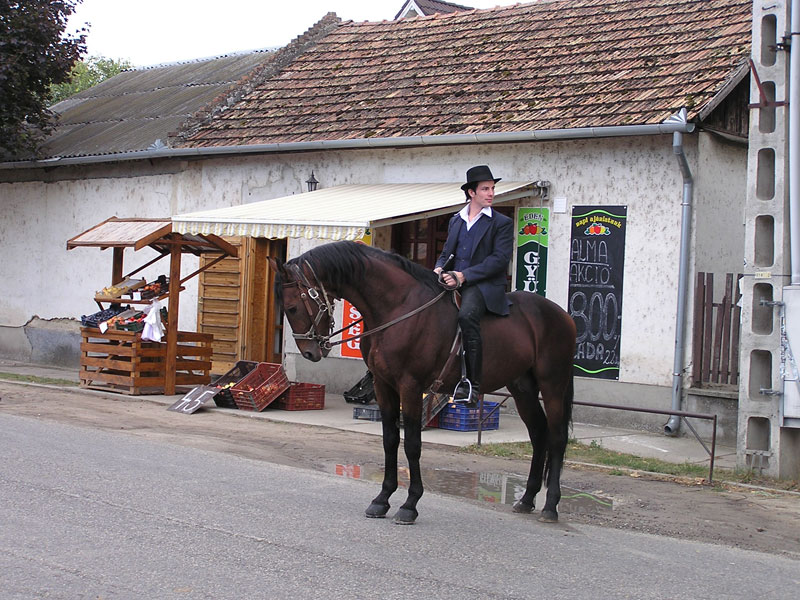 Óvodai hírek - 2009 október