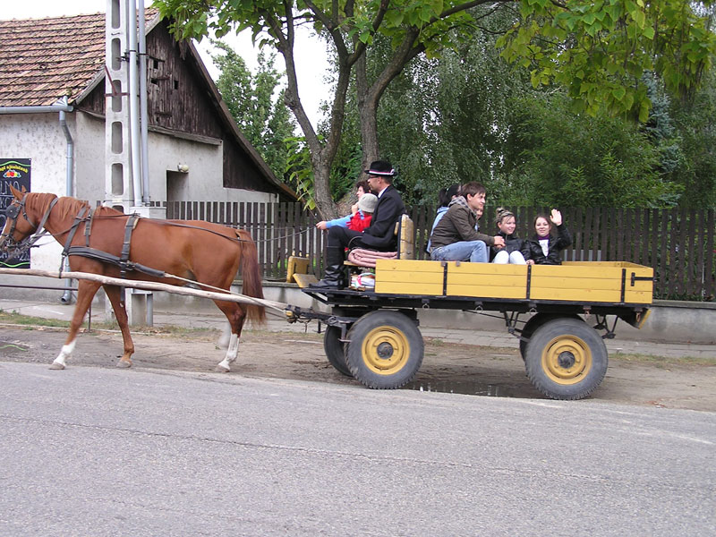 Óvodai hírek - 2009 október