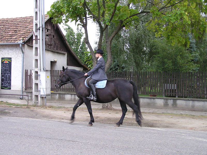 Óvodai hírek - 2009 október