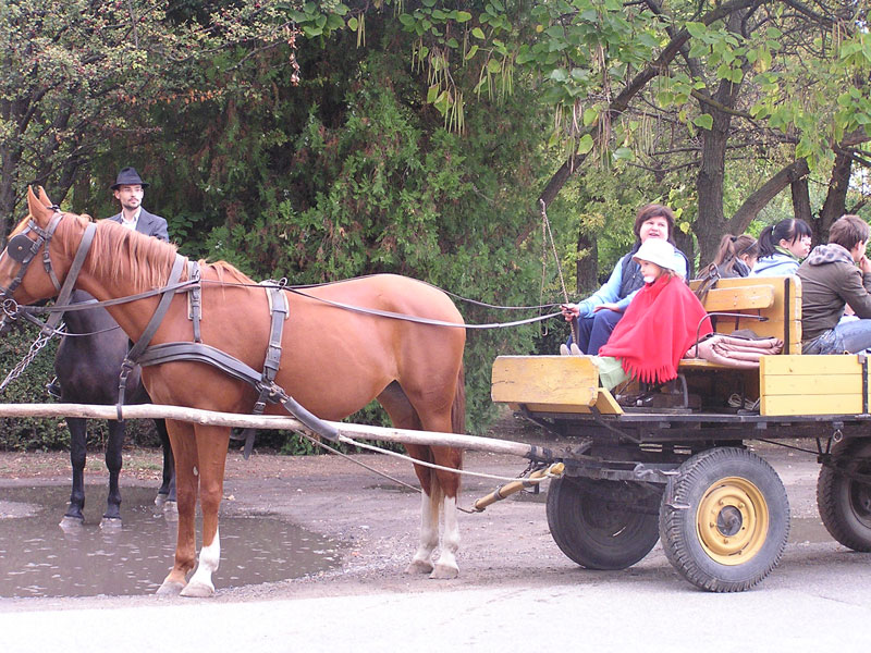 Óvodai hírek - 2009 október