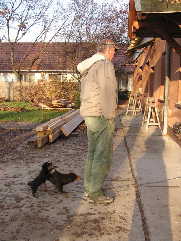Óvodai hírek - 2009 december