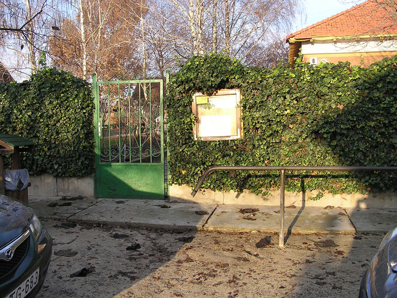 Óvodai hírek - 2009 december