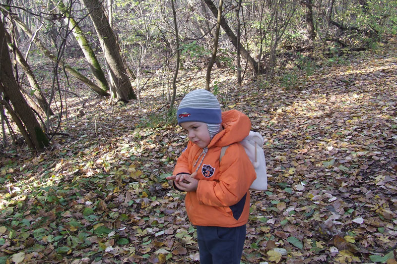Óvodai hírek - 2009 december