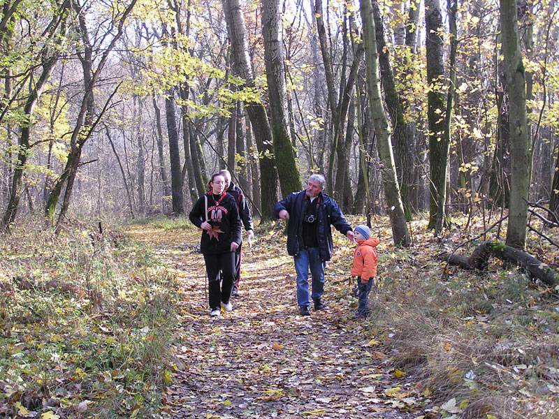 Óvodai hírek - 2009 december