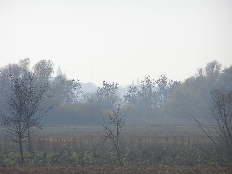 Óvodai hírek - 2009 december