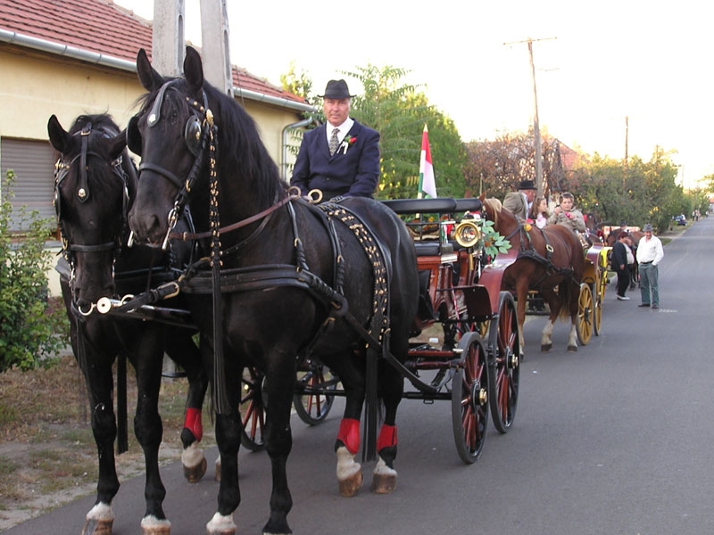 Őszköszöntő szüreti mulatság és bál 2010