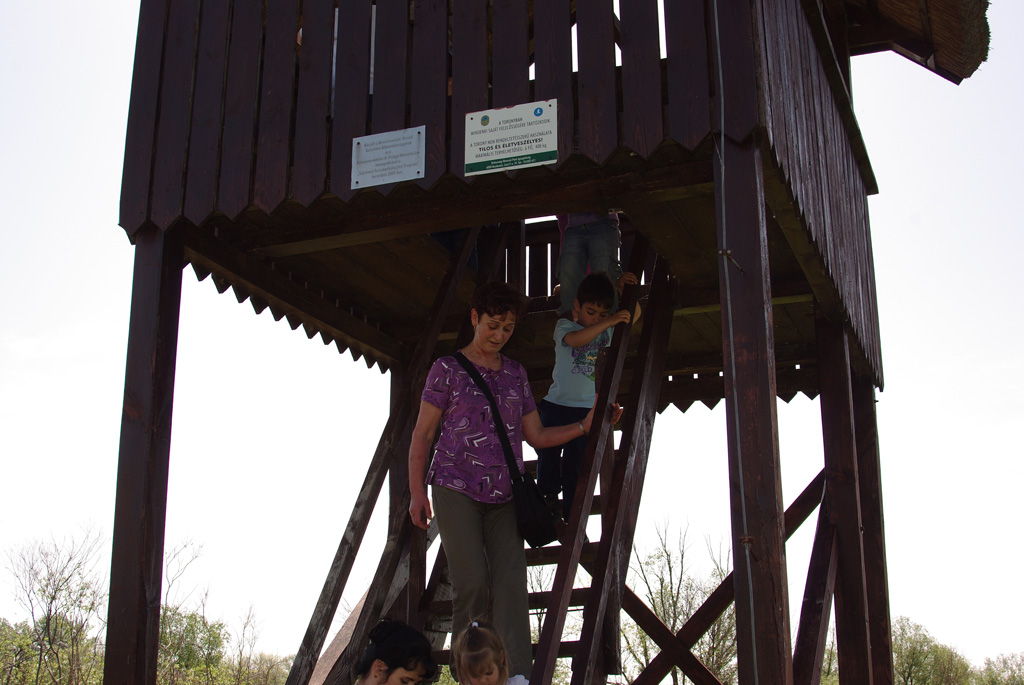 Óvodai hírek - 2012. május