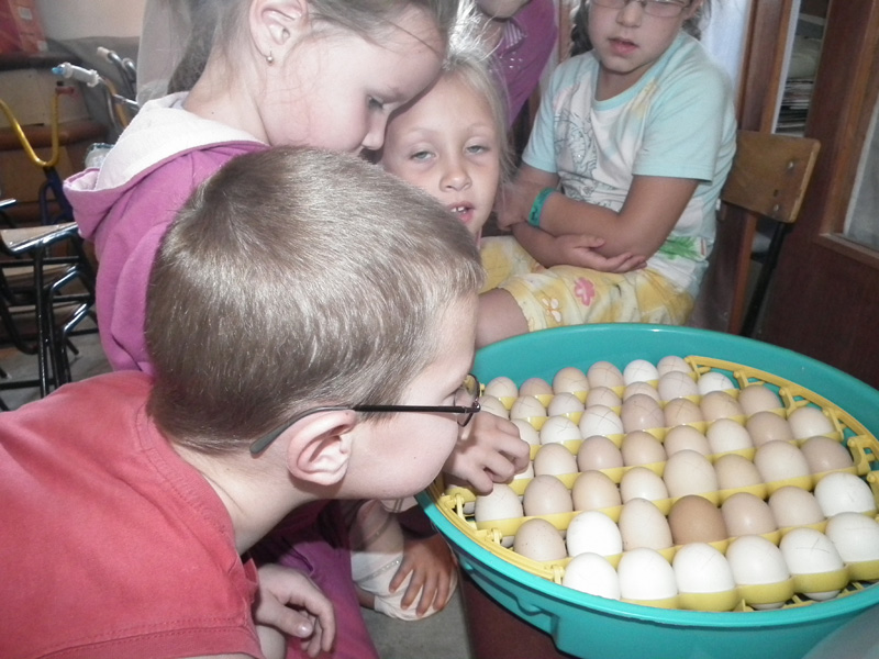 Óvodai hírek - 2012. nyár Óvodai hírek - 2012. nyár