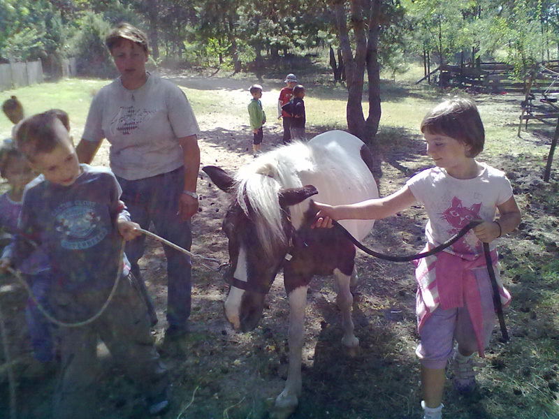 Óvodai hírek - 2012. nyár Óvodai hírek - 2012. nyár