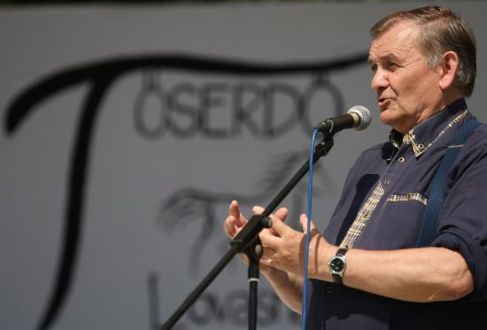 II. Tőserdei Lovasnap II. Tőserdei Lovasnap