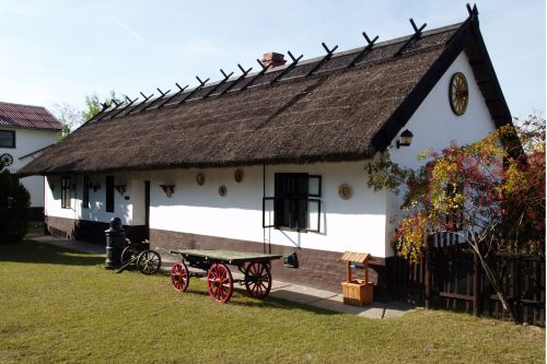Tanyagondnoki szolgáltatás
