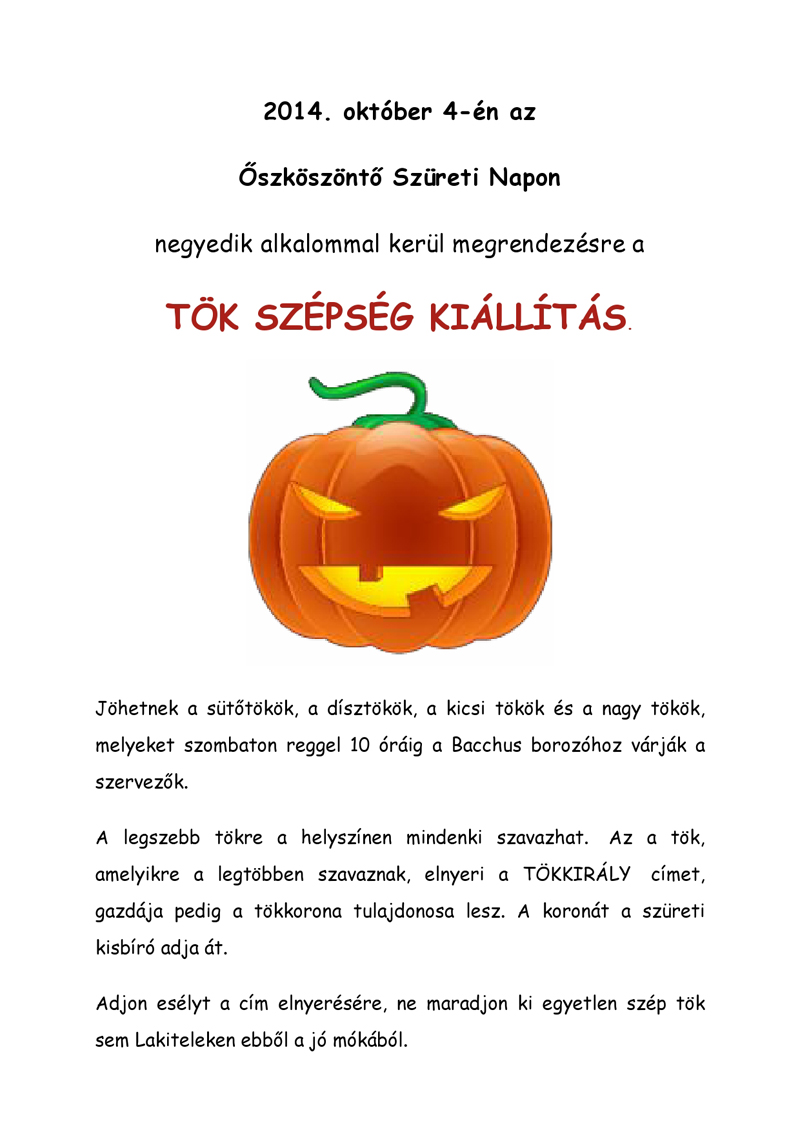 Főzőverseny