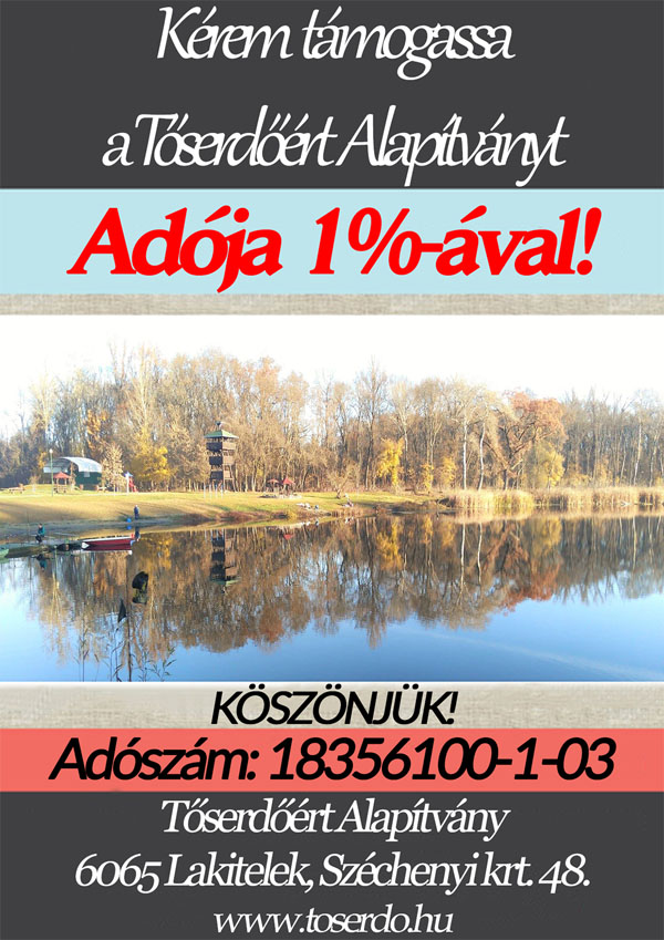 Adó 1 Toserdoert Alapítvany